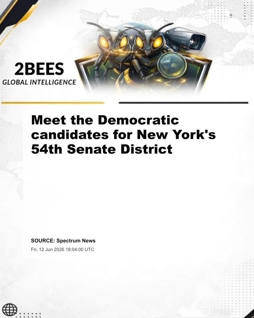 Meet the Democratic candidates for New York's 54th Senate District