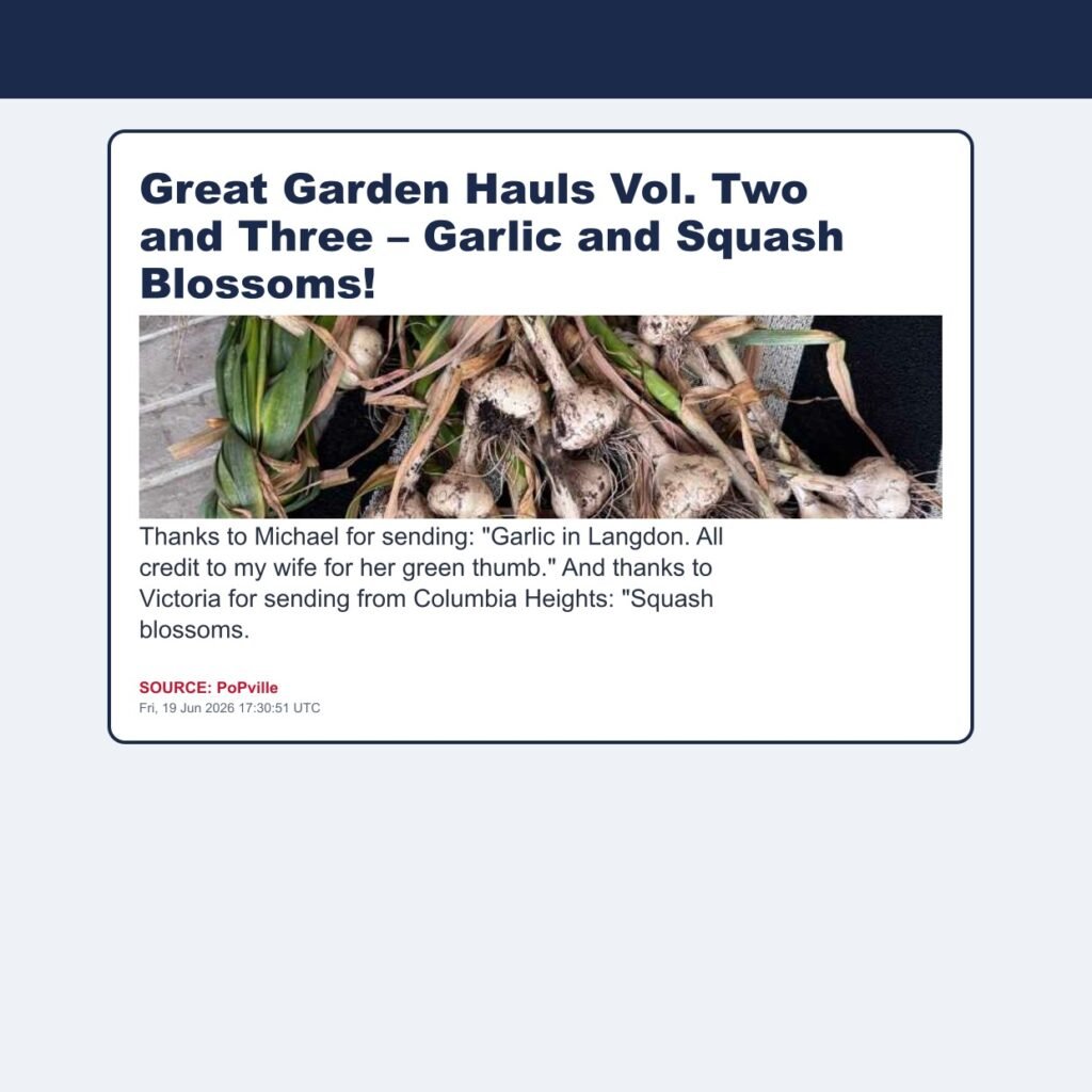 Great Garden Hauls Vol. Two and Three – Garlic and Squash Blossoms!