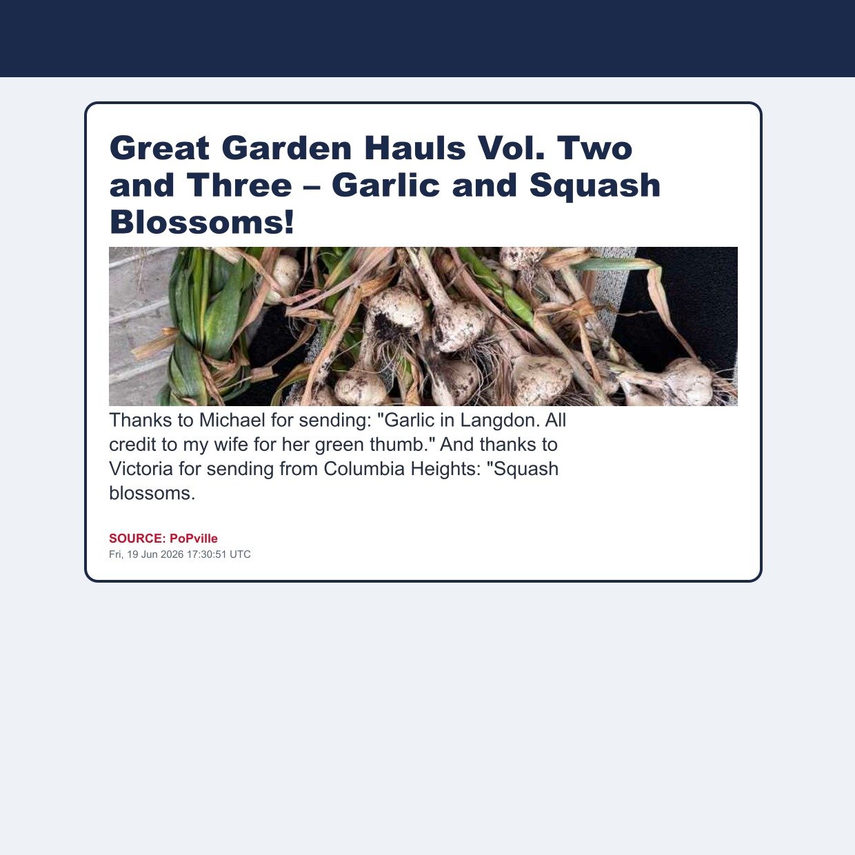 Great Garden Hauls Vol. Two and Three – Garlic and Squash Blossoms!