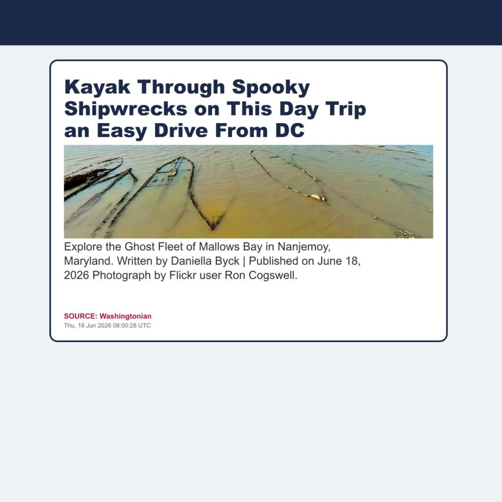 Kayak Through Spooky Shipwrecks on This Day Trip an Easy Drive From DC