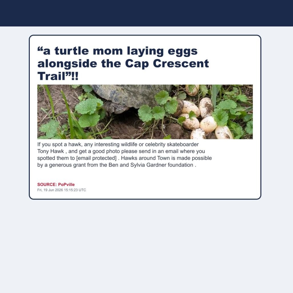 “a turtle mom laying eggs alongside the Cap Crescent Trail”!!