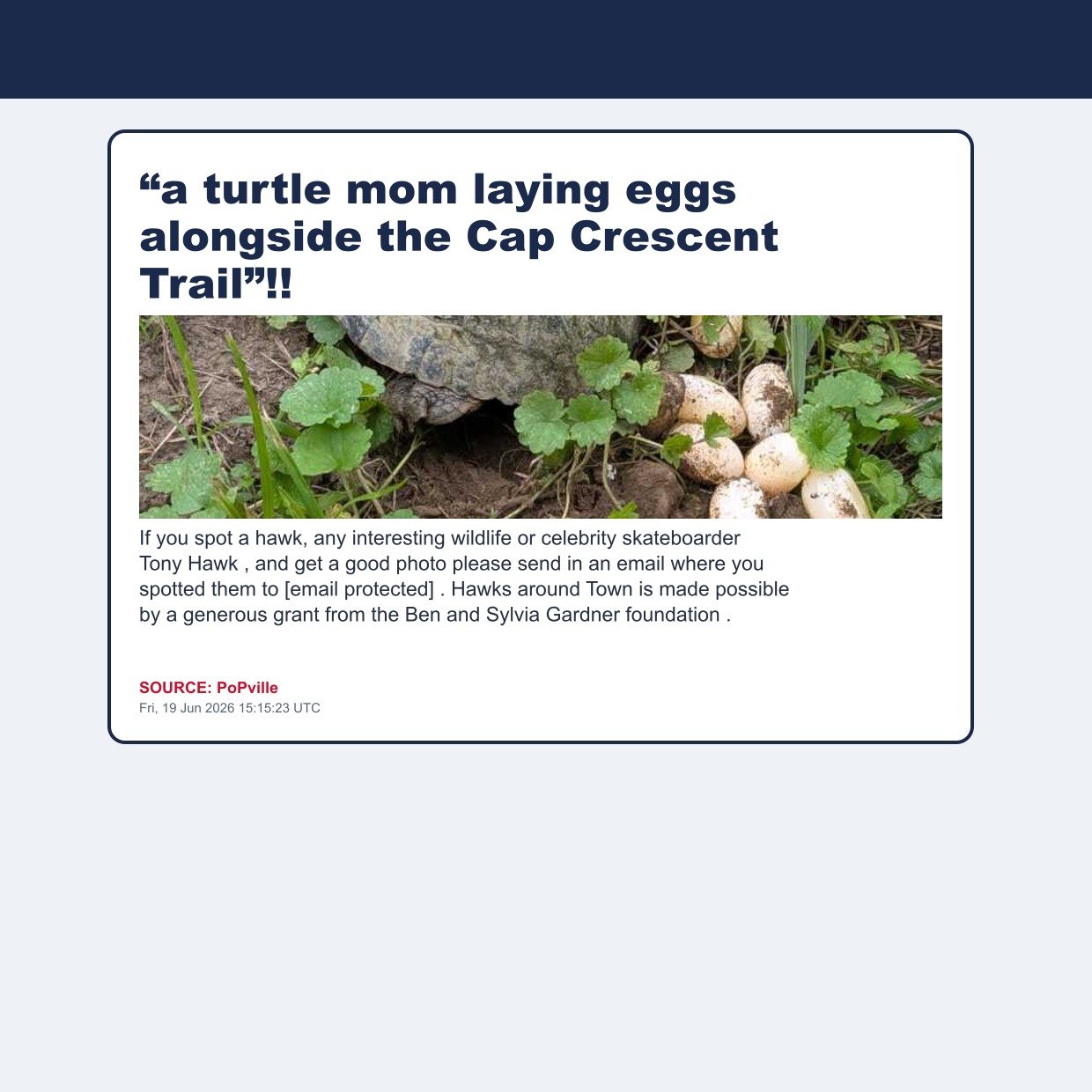 “a turtle mom laying eggs alongside the Cap Crescent Trail”!!