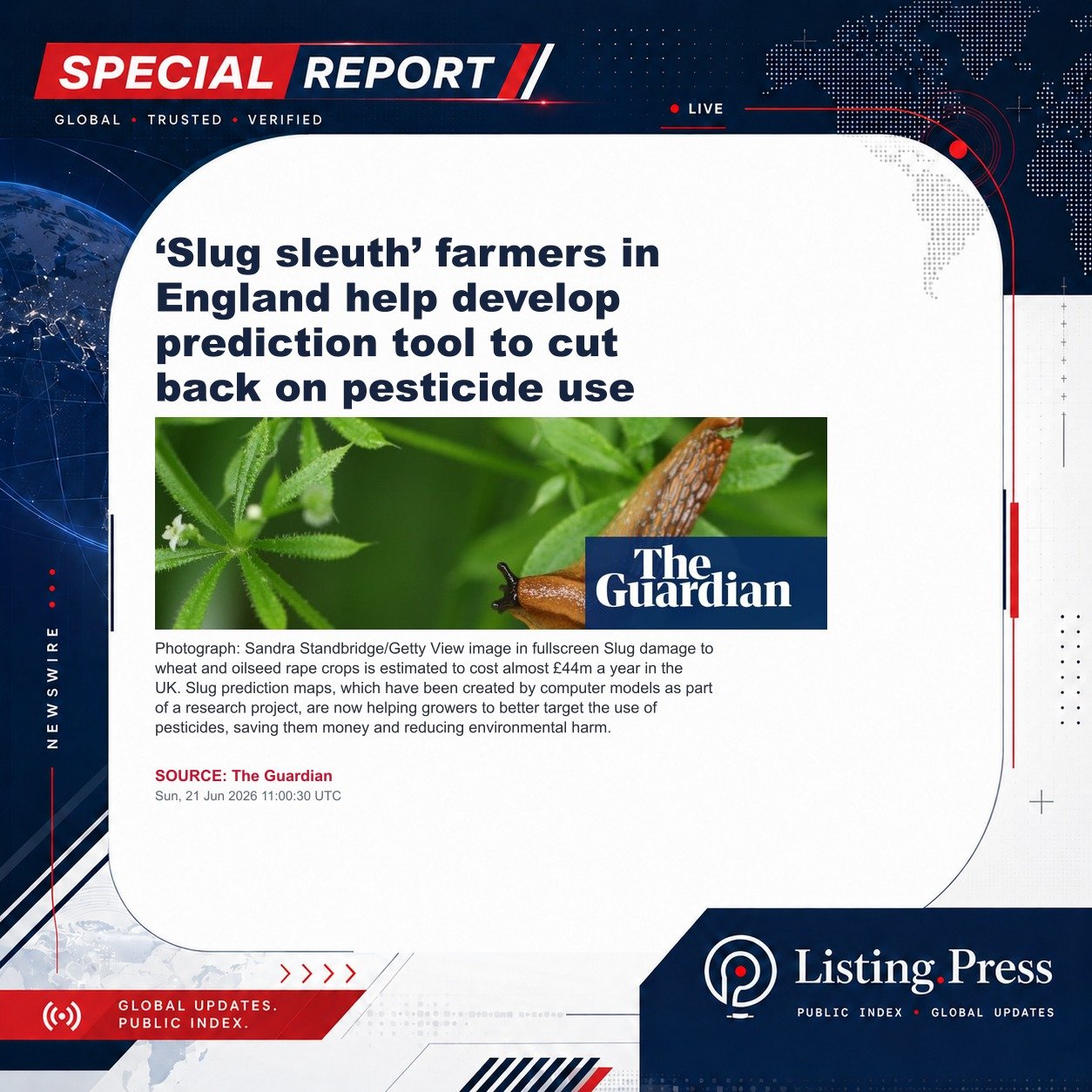 ‘Slug sleuth’ farmers in England help develop prediction tool to cut back on pesticide use