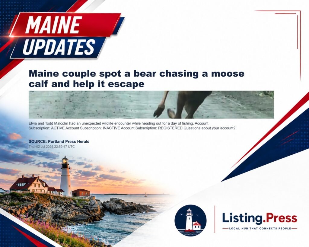 Maine couple spot a bear chasing a moose calf and help it escape