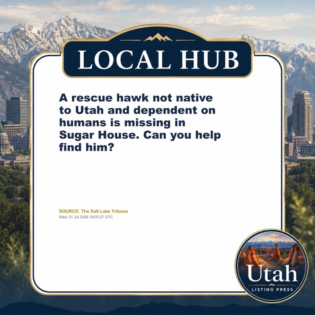 A rescue hawk not native to Utah and dependent on humans is missing in Sugar House. Can you help find him?