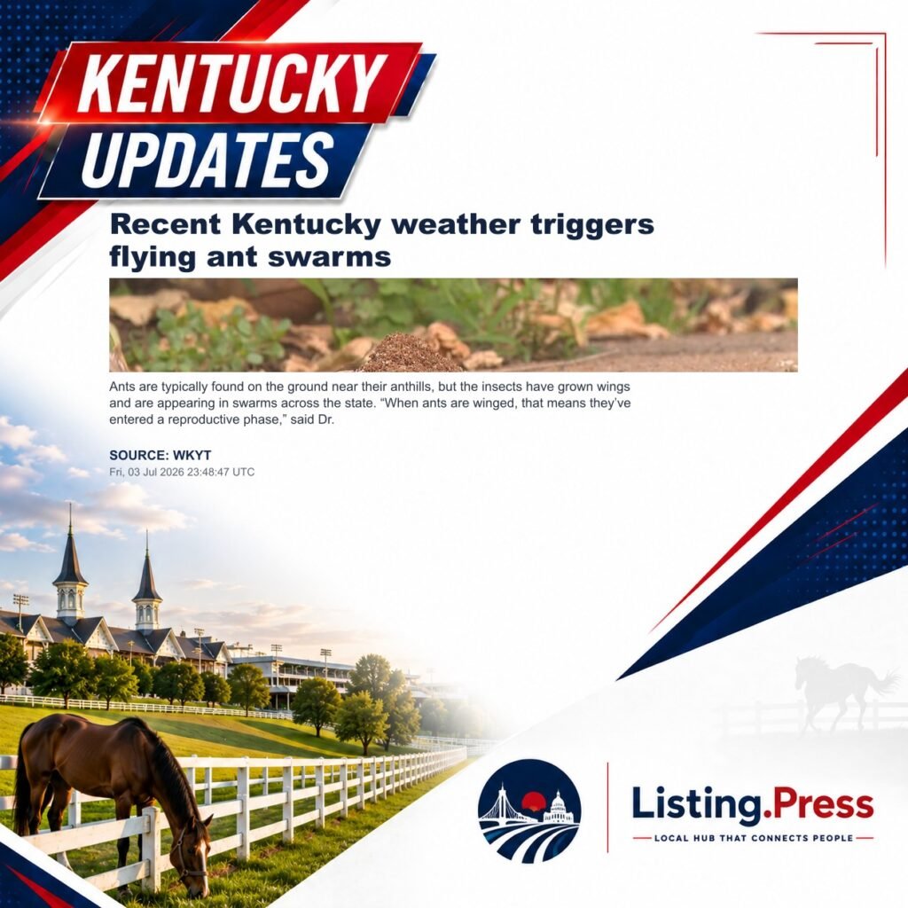 Recent Kentucky weather triggers flying ant swarms