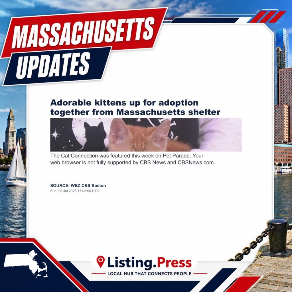 Adorable kittens up for adoption together from Massachusetts shelter