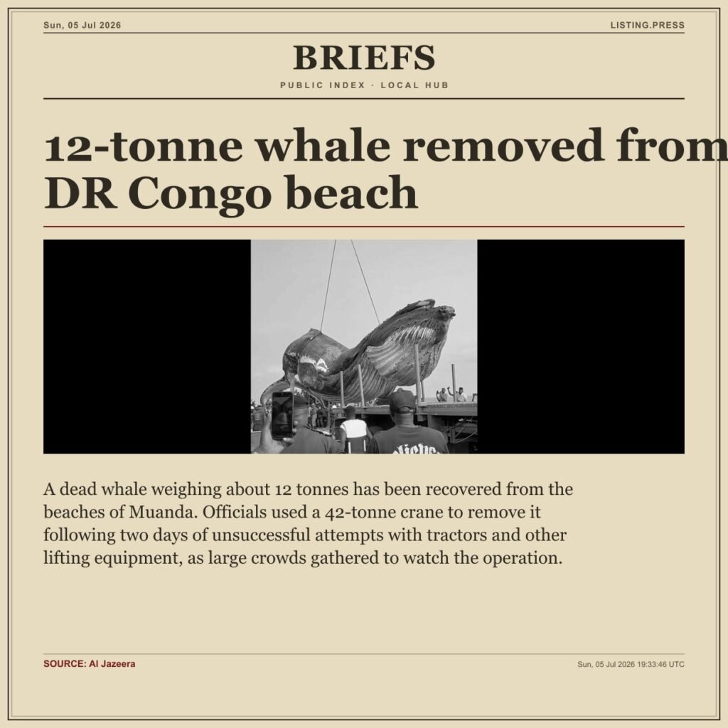 12-tonne whale removed from DR Congo beach