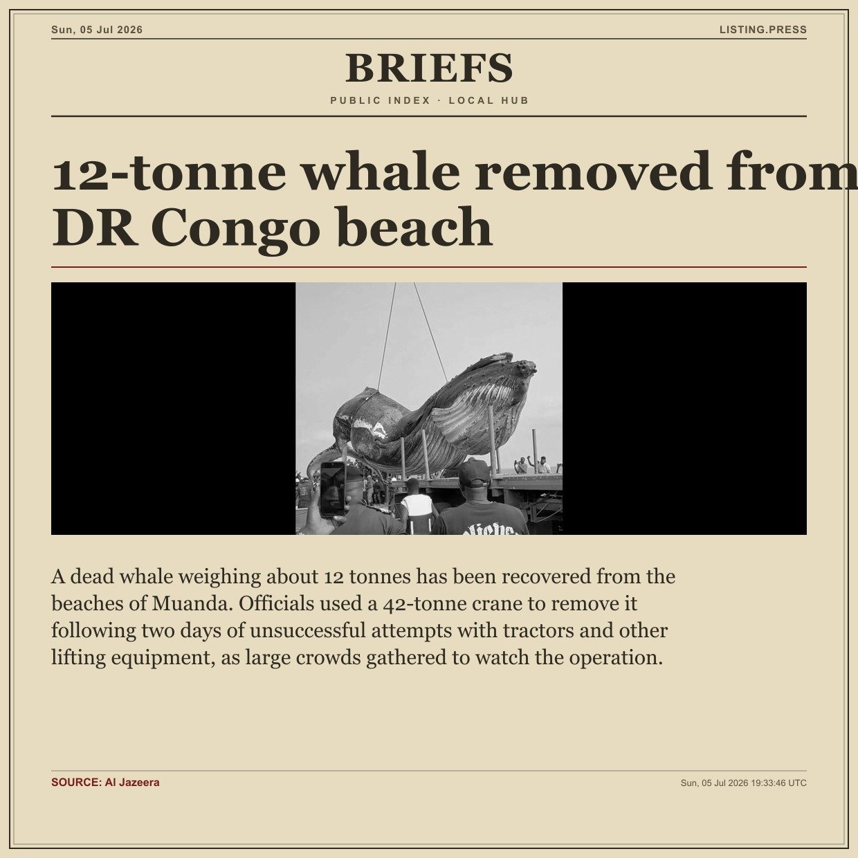 12-tonne whale removed from DR Congo beach