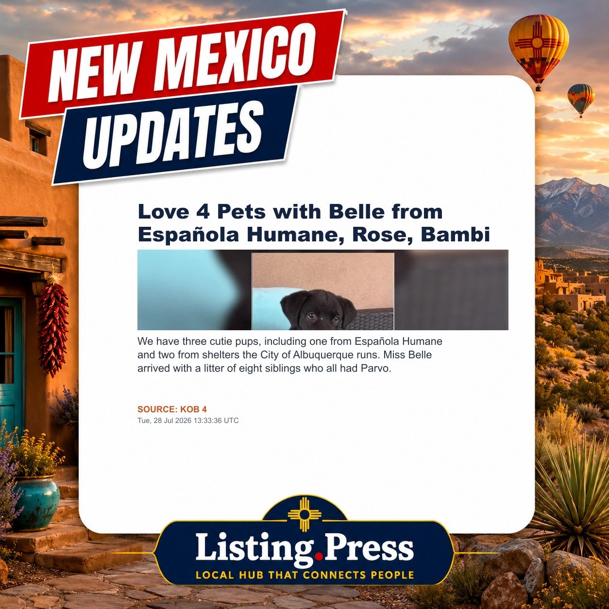 Love 4 Pets with Belle from Española Humane, Rose, Bambi