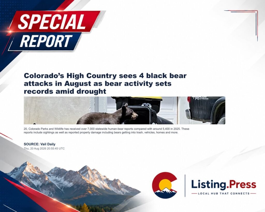 Colorado’s High Country sees 4 black bear attacks in August as bear activity sets records amid drought