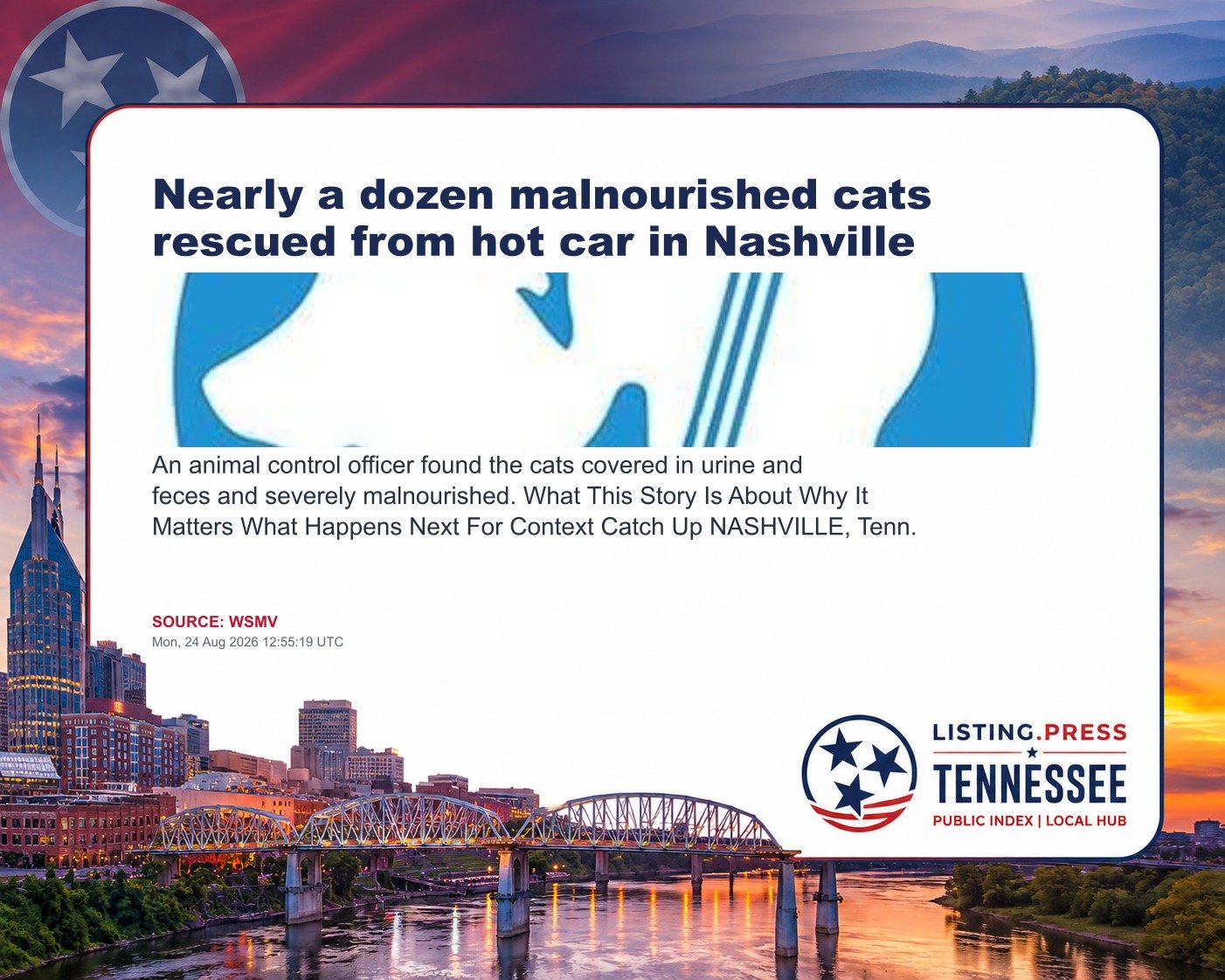 Nearly a dozen malnourished cats rescued from hot car in Nashville