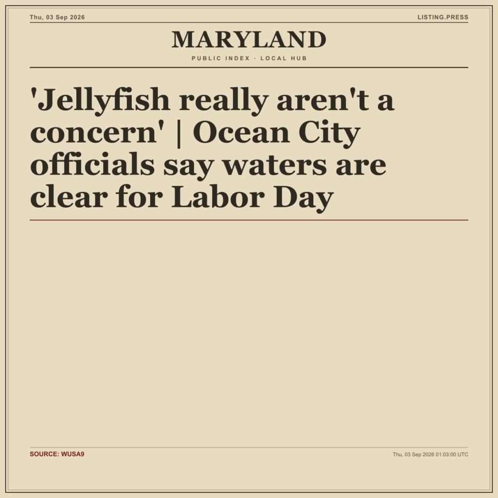 ‘Jellyfish really aren’t a concern’ | Ocean City officials say waters are clear for Labor Day