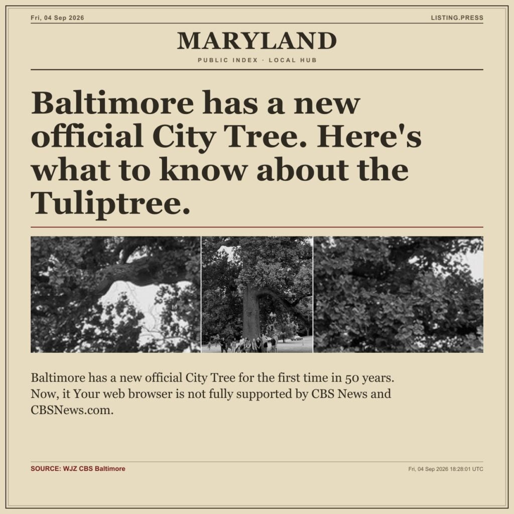 Baltimore has a new official City Tree. Here’s what to know about the Tuliptree.