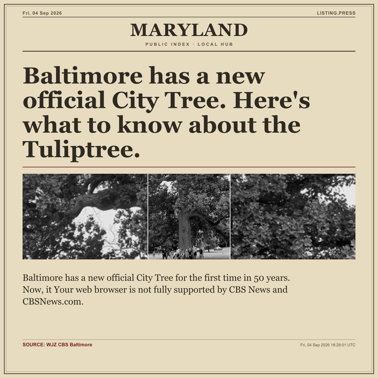 Baltimore has a new official City Tree. Here's what to know about the Tuliptree.