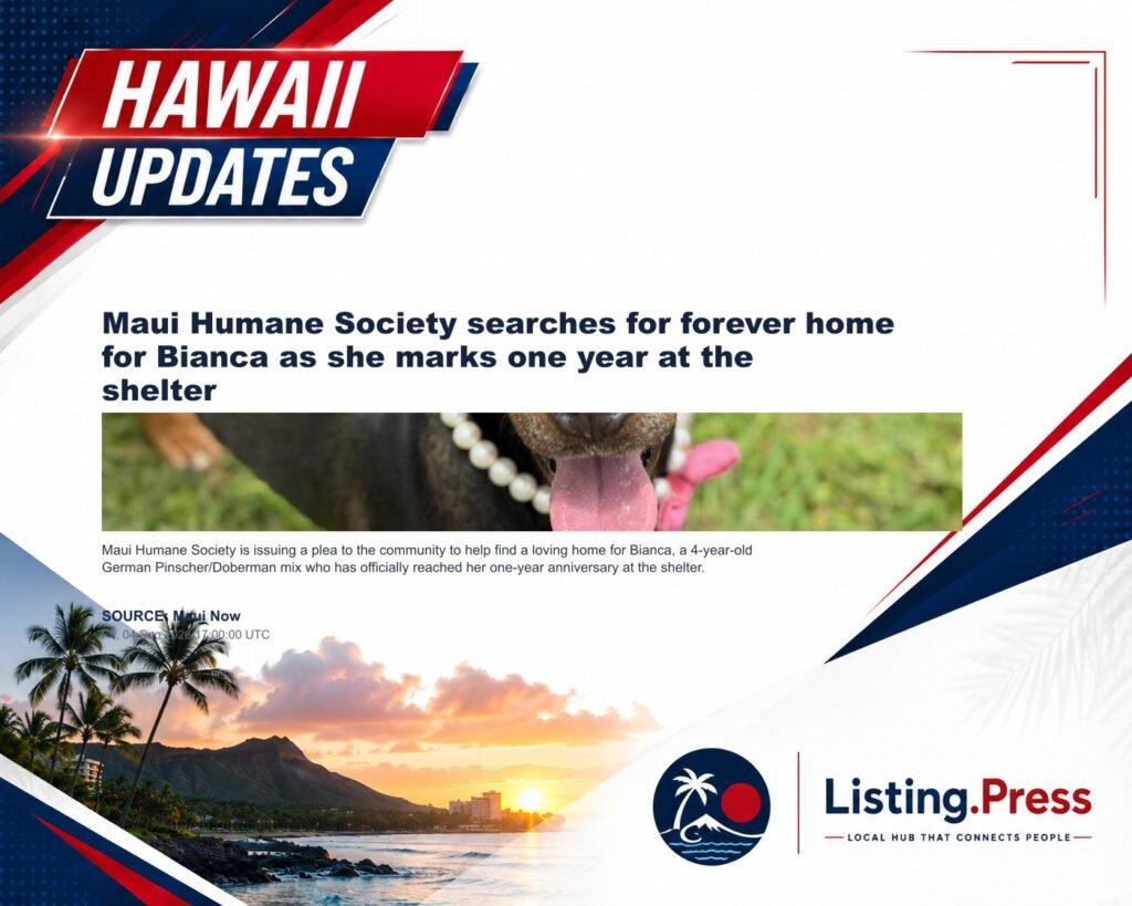 Maui Humane Society searches for forever home for Bianca as she marks one year at the shelter