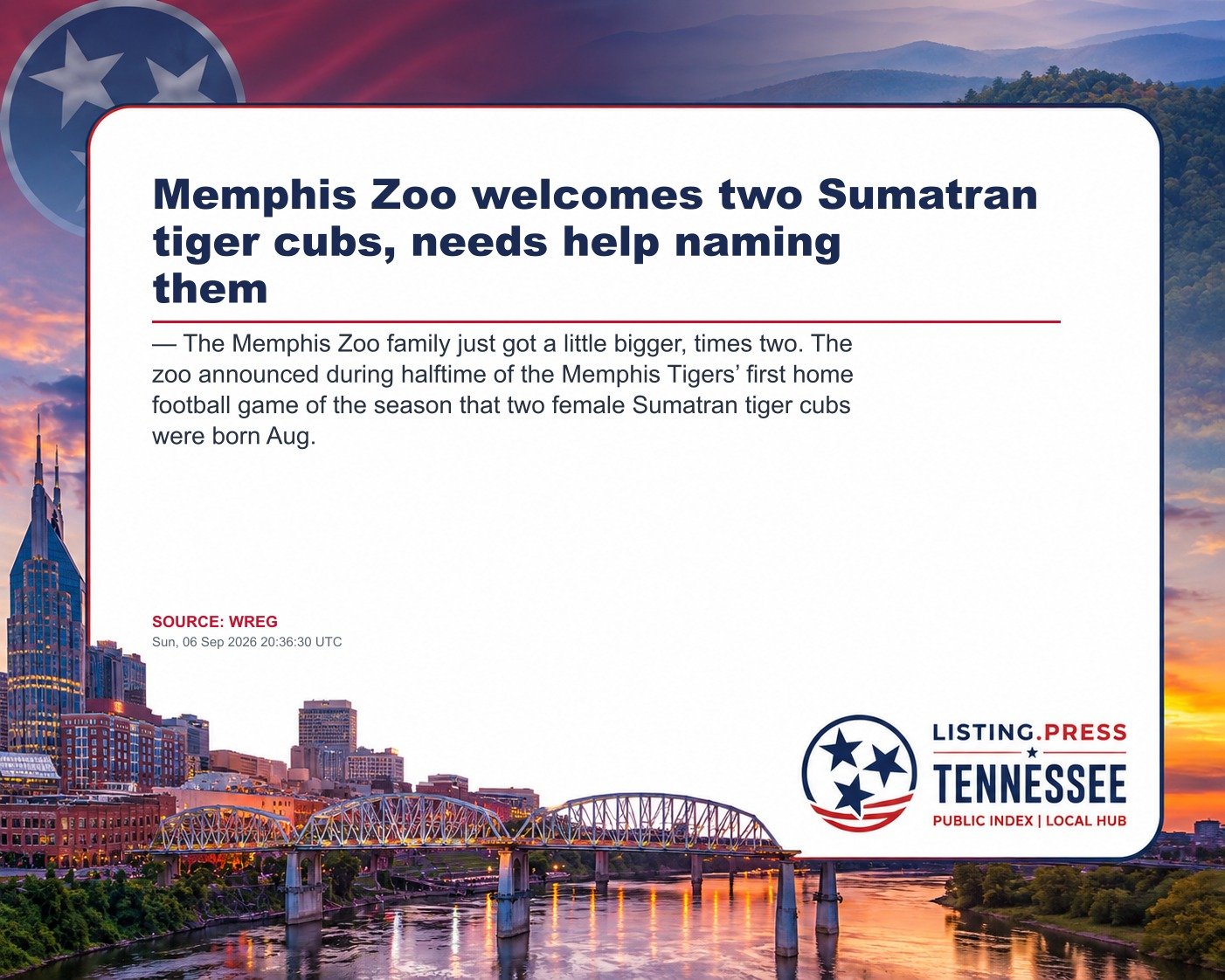 Memphis Zoo welcomes two Sumatran tiger cubs, needs help naming them