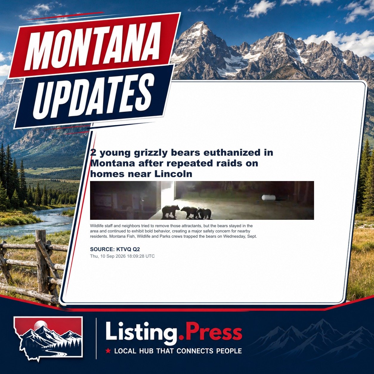 2 young grizzly bears euthanized in Montana after repeated raids on homes near Lincoln