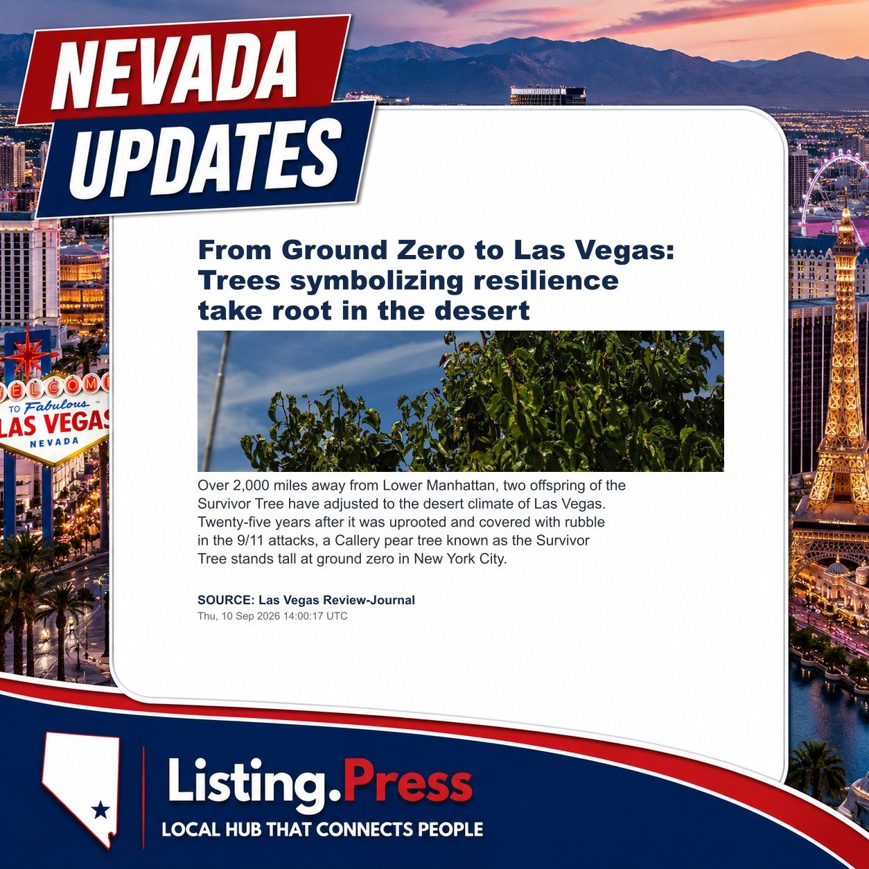 From Ground Zero to Las Vegas: Trees symbolizing resilience take root in the desert