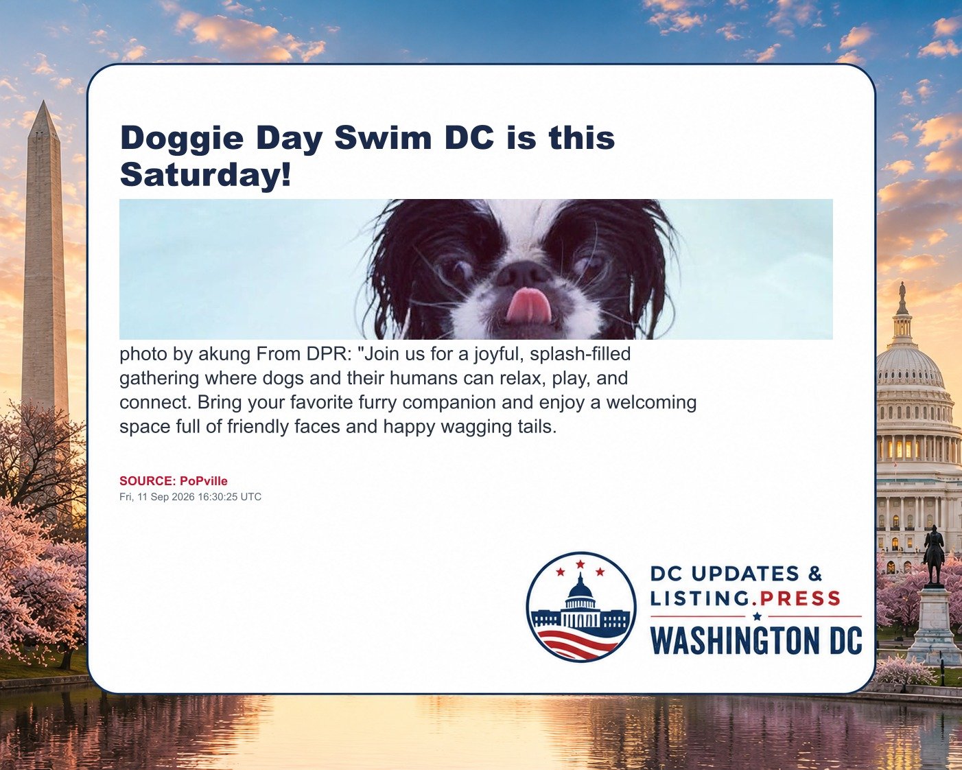Doggie Day Swim DC is this Saturday!