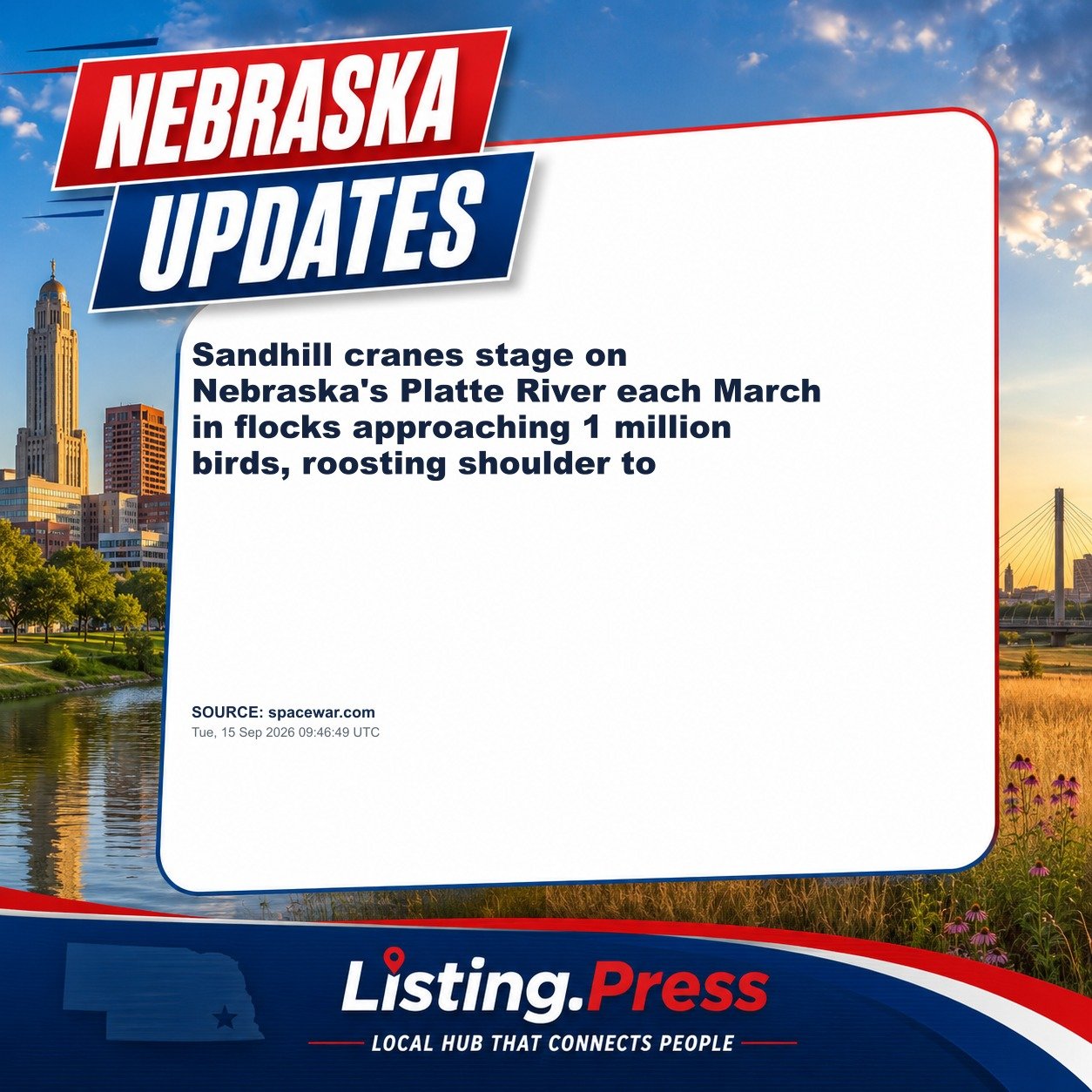 Sandhill cranes stage on Nebraska's Platte River each March in flocks approaching 1 million birds, roosting shoulder to