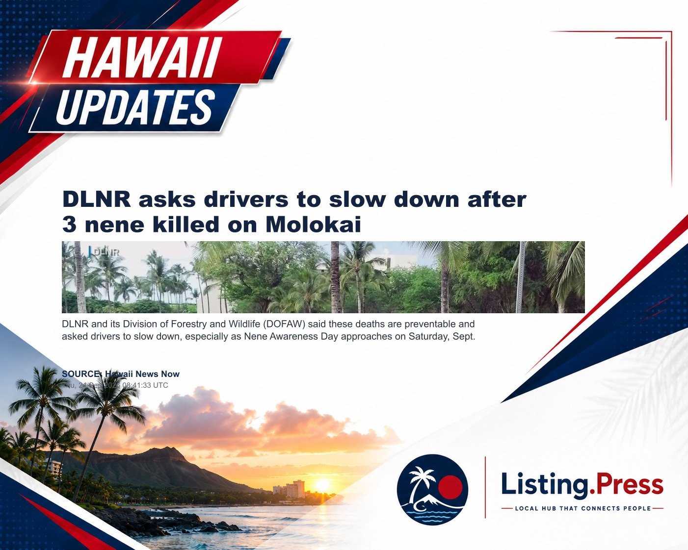 DLNR asks drivers to slow down after 3 nene killed on Molokai