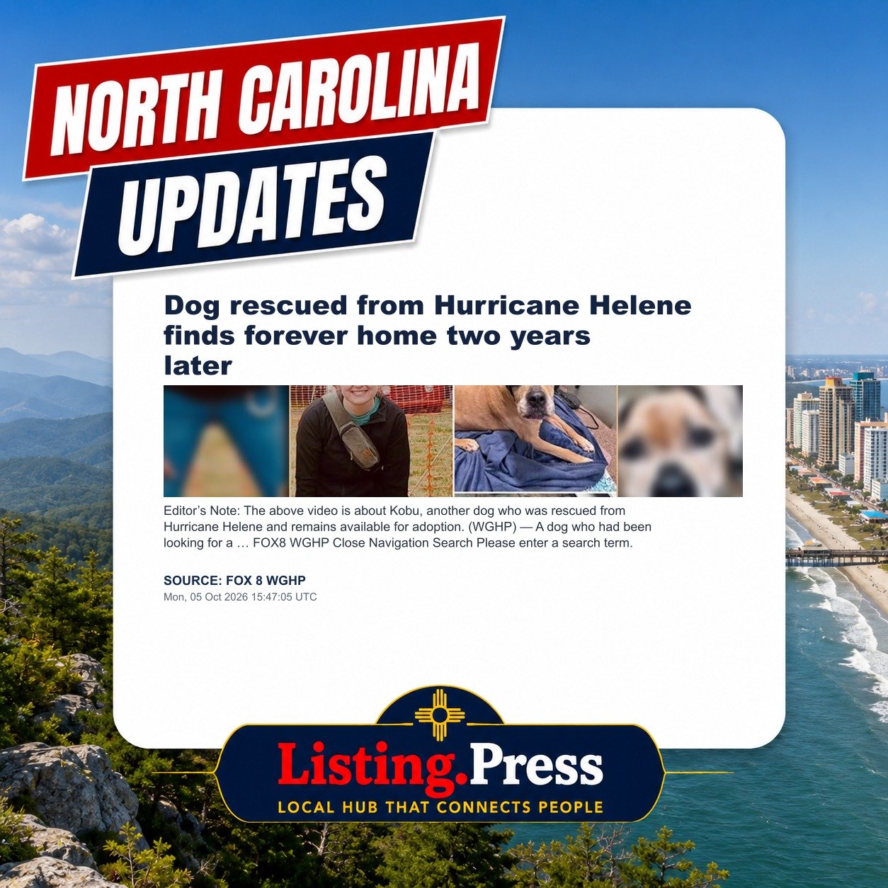 Dog rescued from Hurricane Helene finds forever home two years later